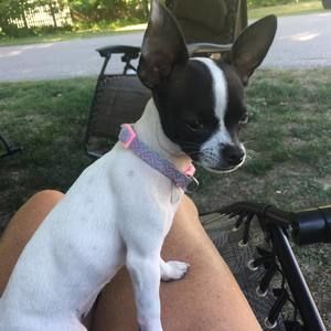 Meet your Posher, Martha